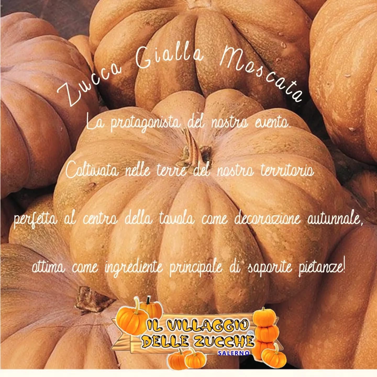 <p>Benvenuti al Villaggio delle Zucche Salerno</p> 
